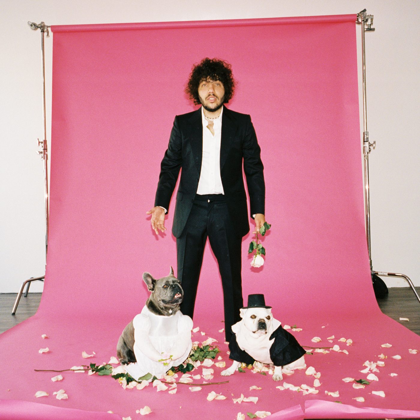 Benny Blanco photographed by Matt Adam on a pink backdrop with dogs in wedding attire